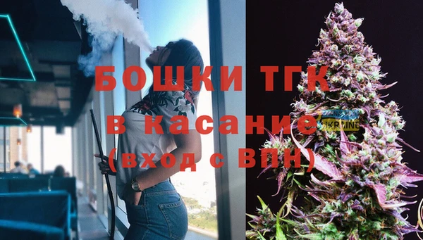 прущая мука Вяземский