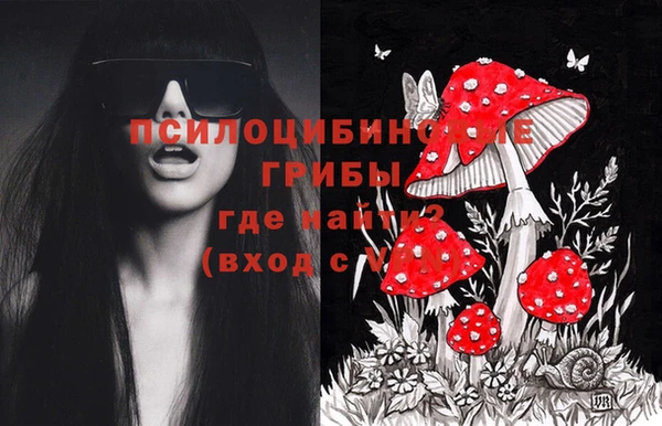 spice Вязники