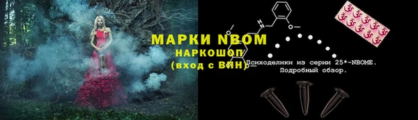 не бодяженный Горно-Алтайск