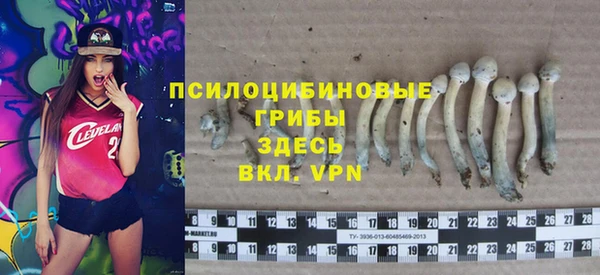 крисы Вязьма