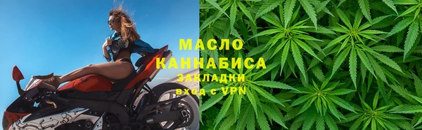 крисы Вязьма