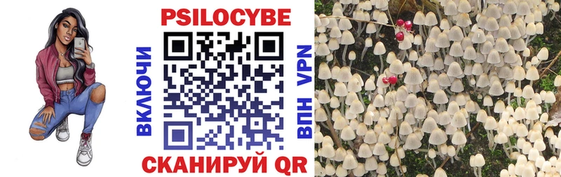 Купить закладки  Краснокаменск  Галлюциногенные грибы Cubensis 